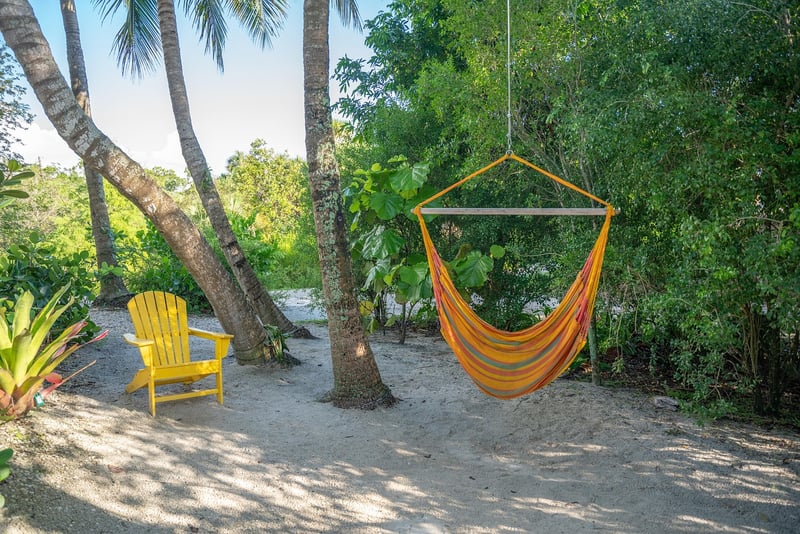 Hammock Havens