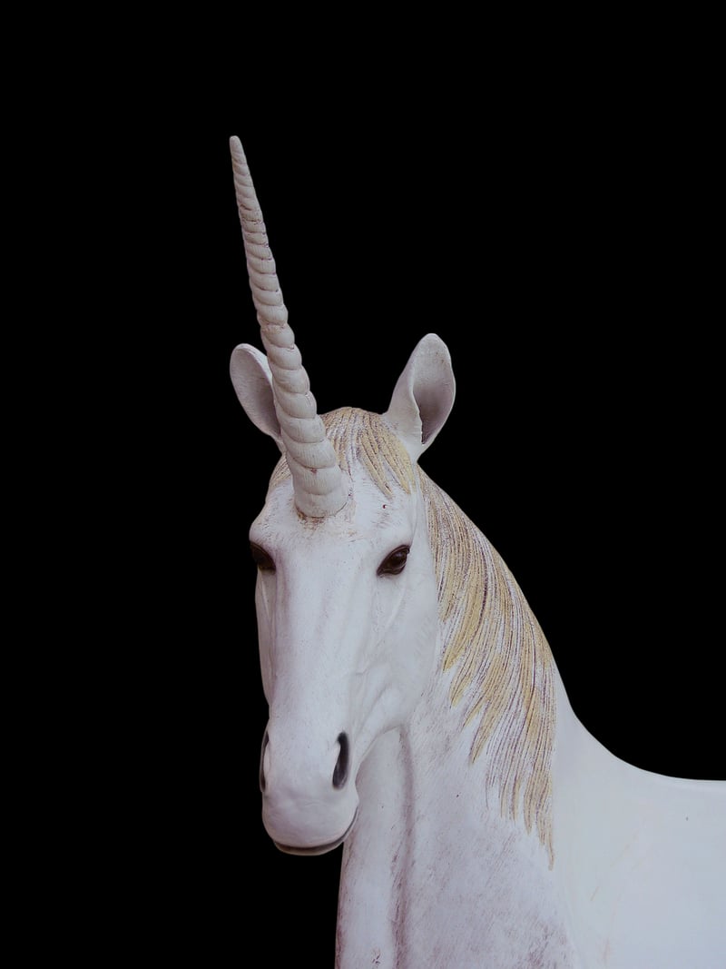 Unicorn Flowers