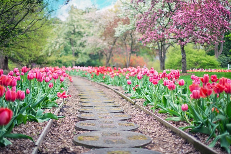 Magical Walkway